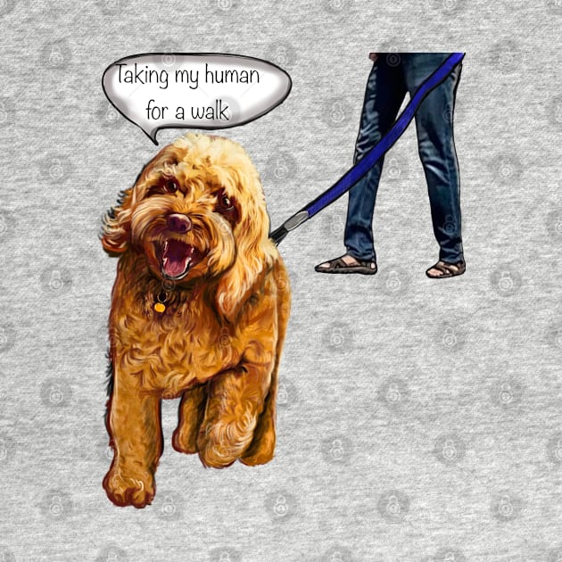 Cavapoo puppy dog - Taking my human for a walk - cavalier king charles spaniel poodle, puppy love by Artonmytee